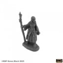 Reaper Bones Black (9)