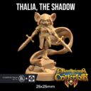 TDTL The Mists Of Okinja & Call To Arms 22