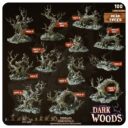 TE Dark Wood 4