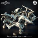 TPGEO Domani Republic The Landing 11