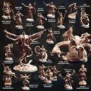 DM Elves Of The Golden Sun 2