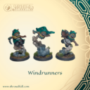 Shroudfall Windrunners 1