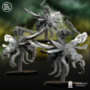 Opr Feb26 Dmp Fly Riders Ads 1 11