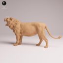 ADM Indian Wildlife 14