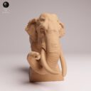 ADM Indian Wildlife 19