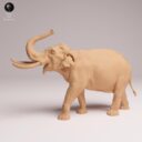 ADM Indian Wildlife 26