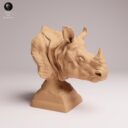 ADM Indian Wildlife 28