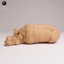 ADM Indian Wildlife 34