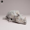 ADM Indian Wildlife 36