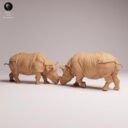 ADM Indian Wildlife 38