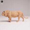 ADM Indian Wildlife 4