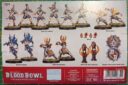 Blood Bowl Caledor Dragons High Elf Team Review 3