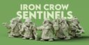DPF Iron Crow Sentinels 1
