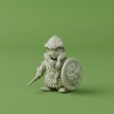 DPF Iron Crow Sentinels 6