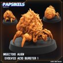 Papsikels Maerz Patreon 49