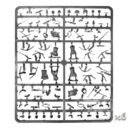 Victrix Scotsarchers 5