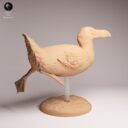 ADM Recently Extinct 18