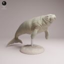 ADM Recently Extinct 19