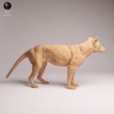 ADM Recently Extinct 2