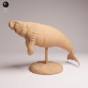 ADM Recently Extinct 20