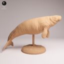 ADM Recently Extinct 21