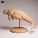 ADM Recently Extinct 23