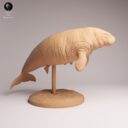 ADM Recently Extinct 24