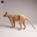 ADM Recently Extinct 3