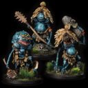 BM Brood Of The Toadmother 17