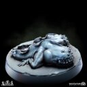 BM Brood Of The Toadmother 25