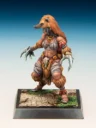 Freebooter Miniatures Freebooters Fate Themenbox Amazonen (14)