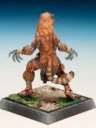 Freebooter Miniatures Freebooters Fate Themenbox Amazonen (15)