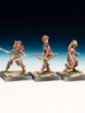 Freebooter Miniatures Freebooters Fate Themenbox Amazonen (2)