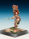 Freebooter Miniatures Freebooters Fate Themenbox Amazonen (4)