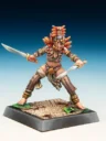 Freebooter Miniatures Freebooters Fate Themenbox Amazonen (6)
