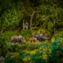 Animal Fence Scenic 10 Copy 2048x