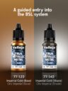 AV True Metallic Starter Set 6