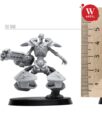 Artel „W“ Miniatures Neuheiten 10