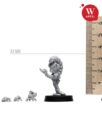 Artel „W“ Miniatures Neuheiten 12