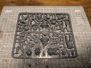 Conquest Para Bellum Hundred Kingdoms Trebuchet Review 12