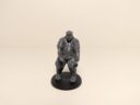 Conquest Para Bellum Hundred Kingdoms Trebuchet Review 21