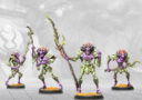 Conquest Para Bellum Weaver Courts Morrowen