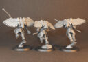 Review Custodes Venatari 11