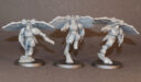 Review Custodes Venatari 6