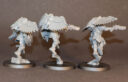 Review Custodes Venatari 7