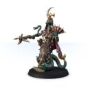 Signum Zyshara T Veel, Servant Of The Elders 1