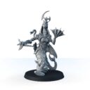 Signum Zyshara T Veel, Servant Of The Elders 2
