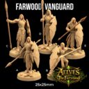 TDTL Aelves Of The Farwood & Order Of The Unicorn Pt 1 13