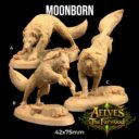 TDTL Aelves Of The Farwood & Order Of The Unicorn Pt 1 14