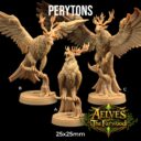 TDTL Aelves Of The Farwood & Order Of The Unicorn Pt 1 15